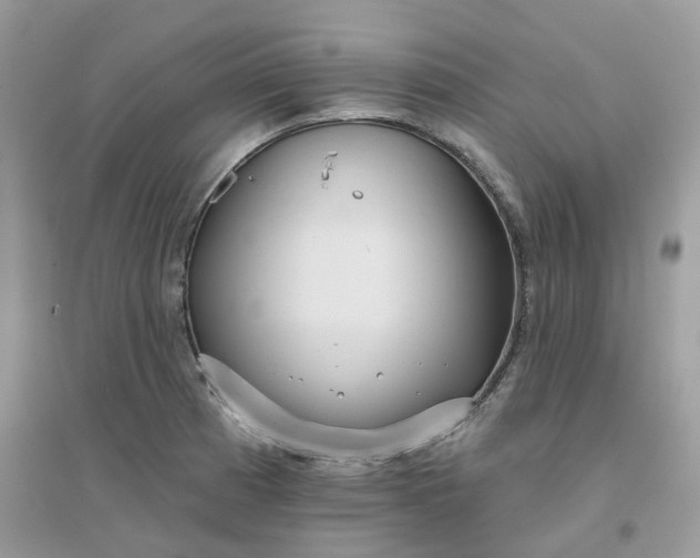 X0000096151185200802011226