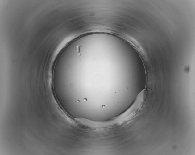 X0000096151188200802011226