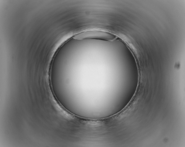 X0000096151189200802011226