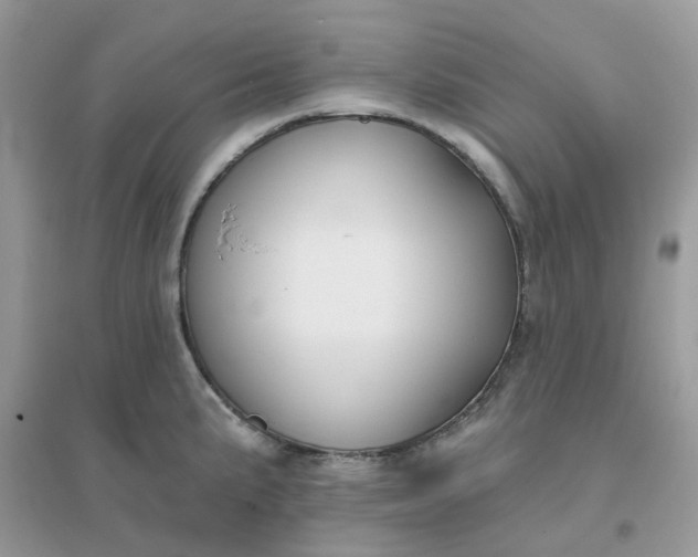 X0000096151191200802011226