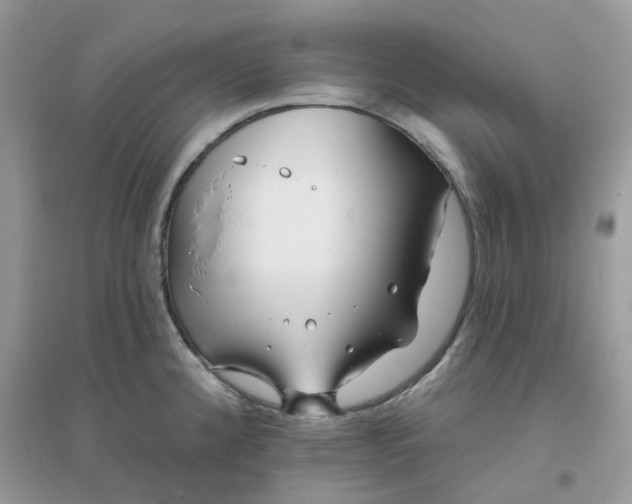 X0000096151192200802011226