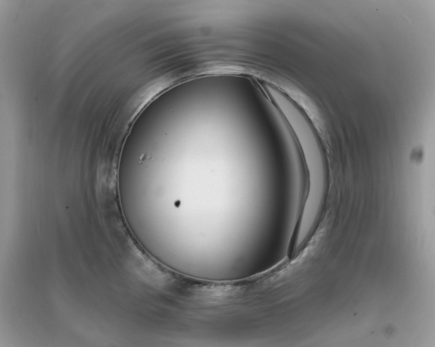 X0000096151193200802011226
