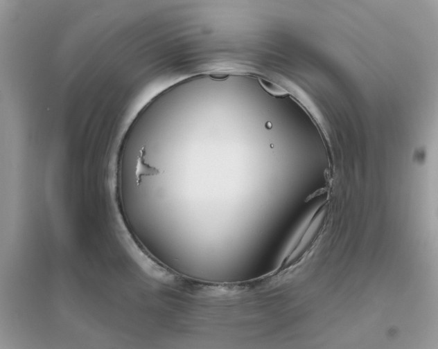 X0000096151195200802011226