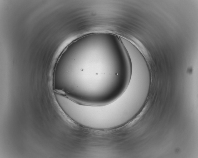 X0000096151196200802011226