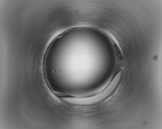 X0000096151197200802011226
