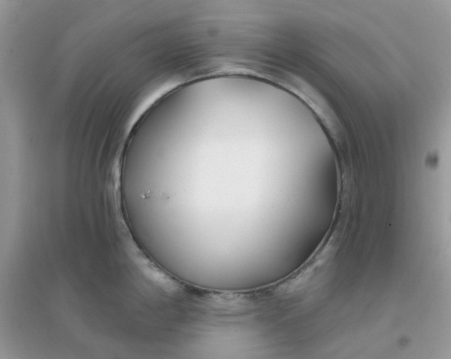 X0000096151198200802011226