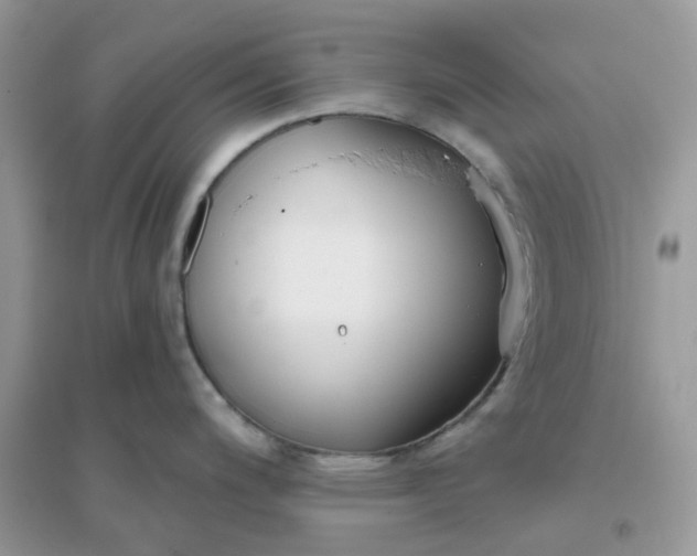 X0000096151200200802011226