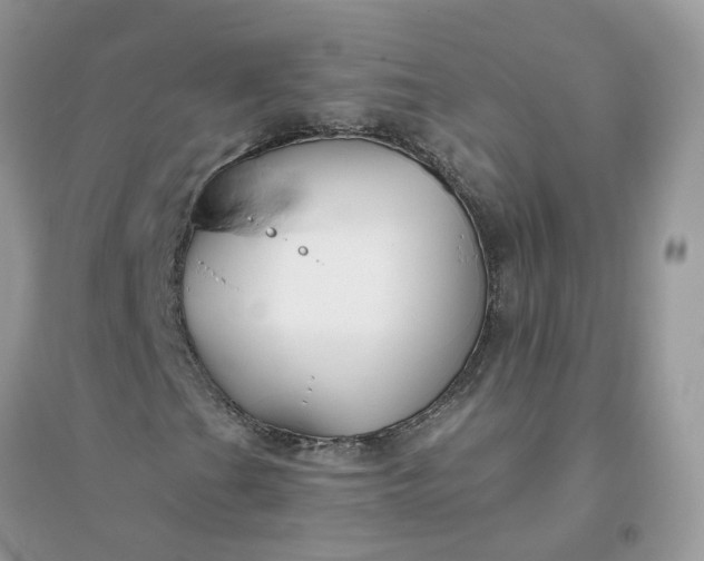 X0000096151201200802011225