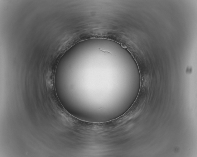 X0000096151202200802011225
