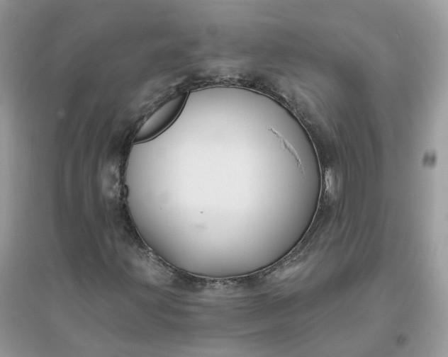 X0000096151203200802011225