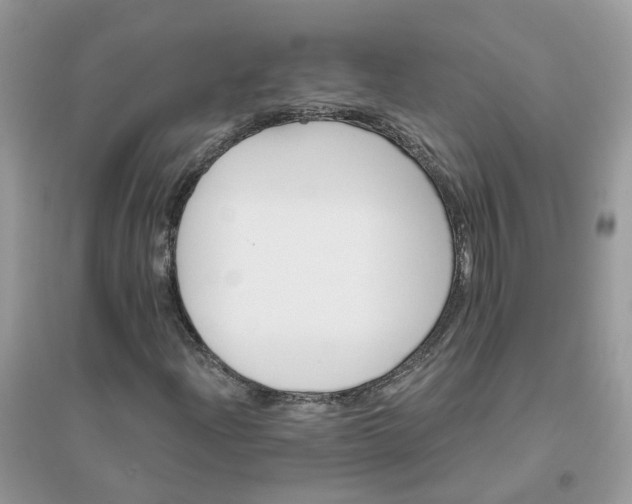 X0000096151204200802011225
