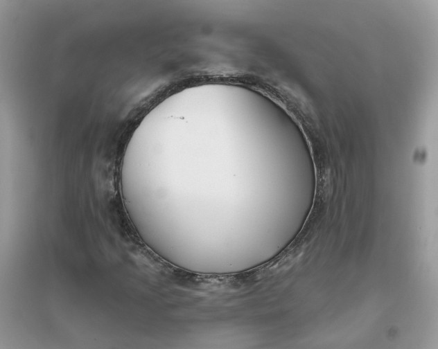 X0000096151205200802011225