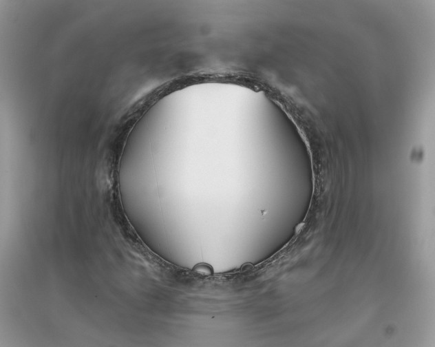 X0000096151206200802011225