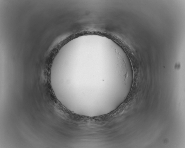 X0000096151207200802011225