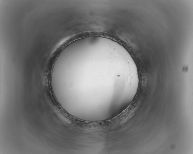 X0000096151208200802011225