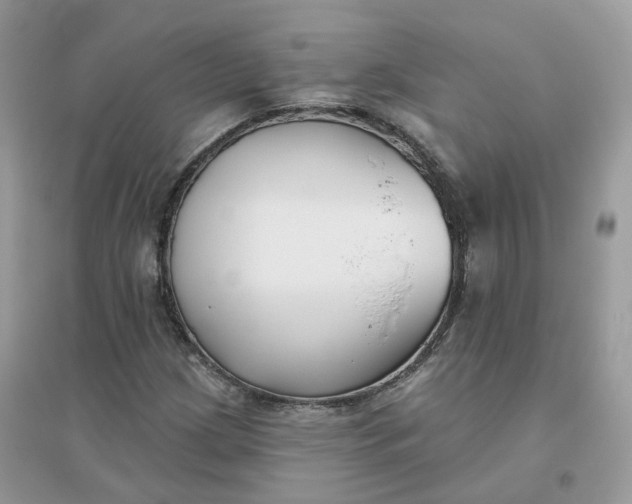 X0000096151209200802011225