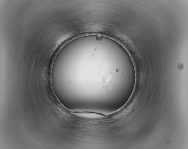 X0000096151210200802011225