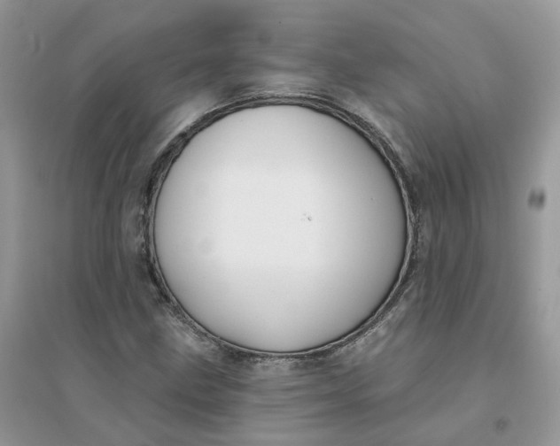 X0000096151211200802011225