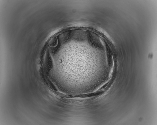 X0000096151213200802011225