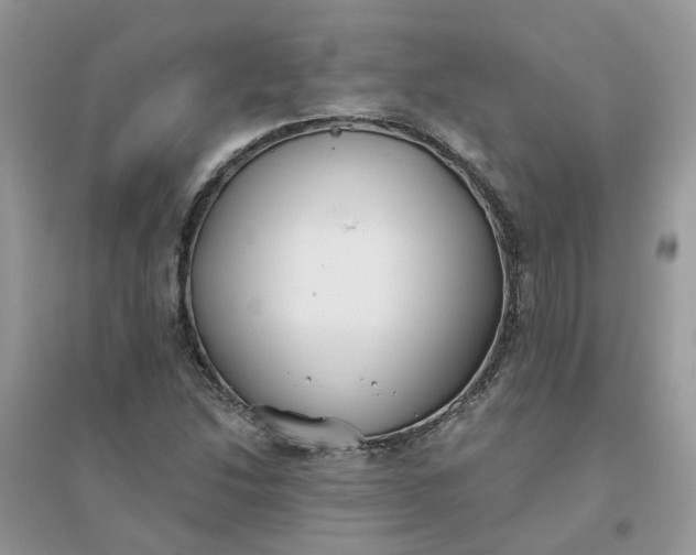 X0000096151214200802011225