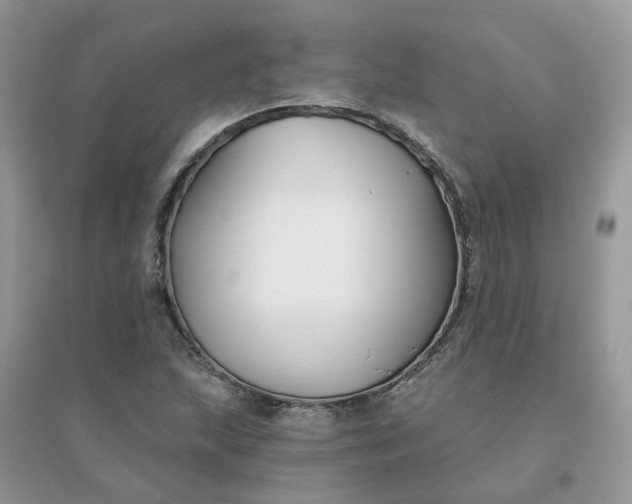 X0000096151215200802011225