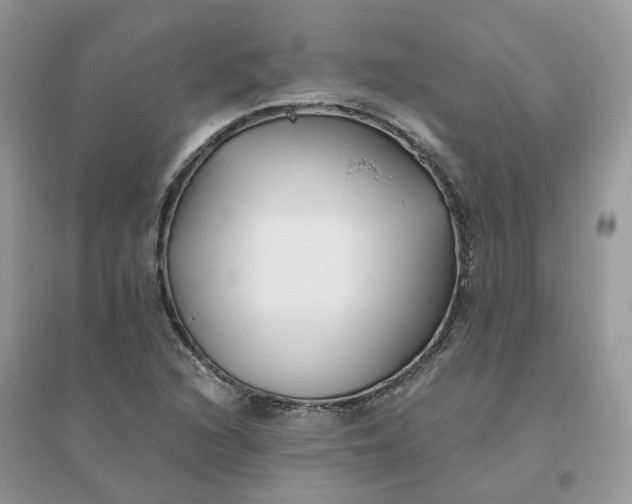 X0000096151216200802011225