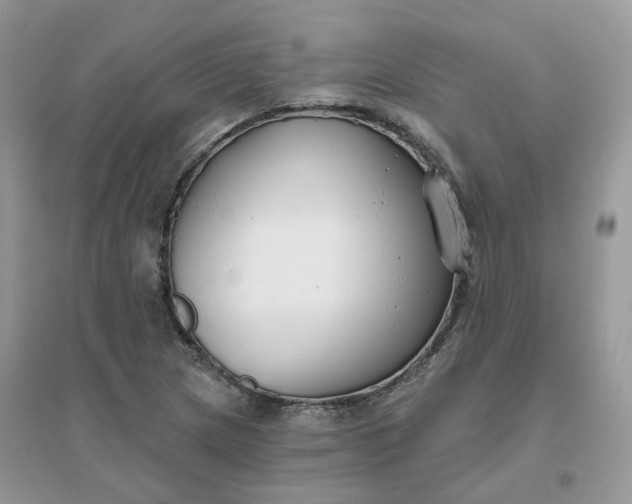 X0000096151217200802011225