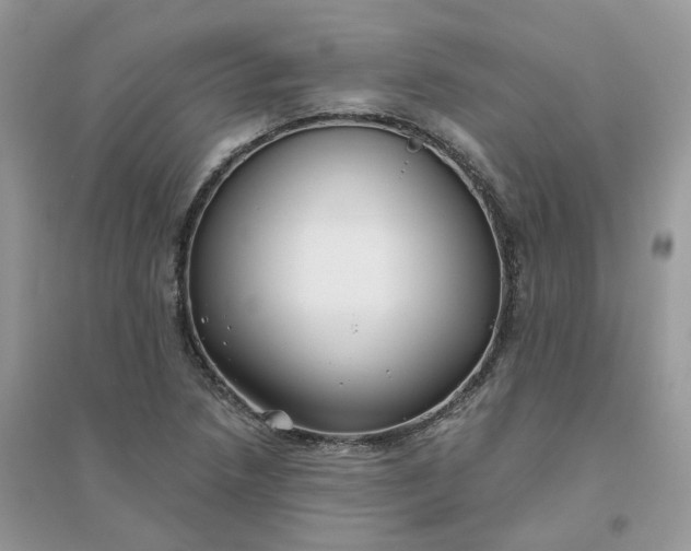 X0000096151218200802011225