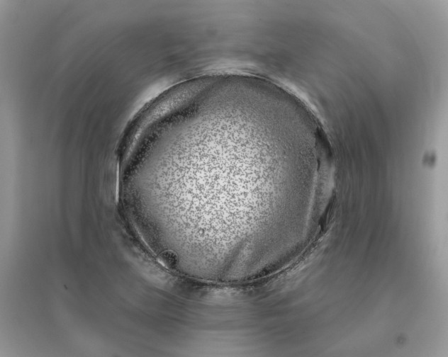 X0000096151219200802011225