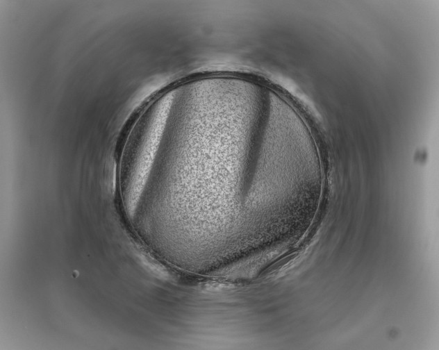 X0000096151221200802011225