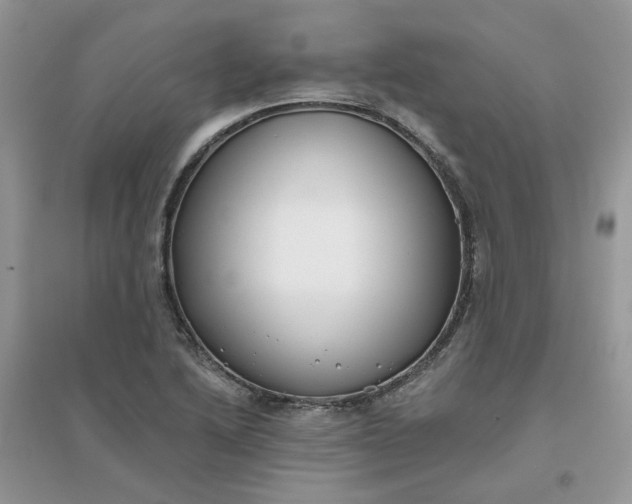 X0000096151222200802011225