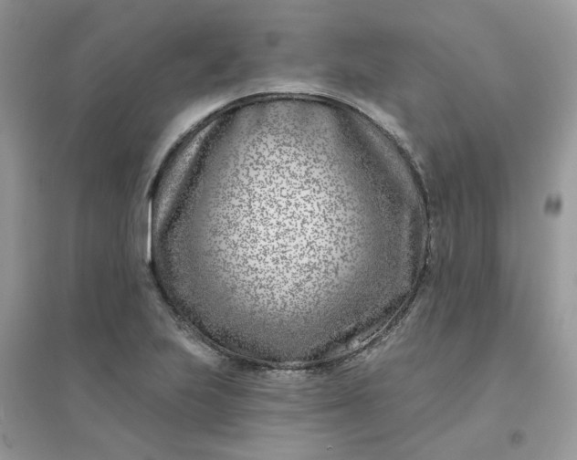X0000096151223200802011225