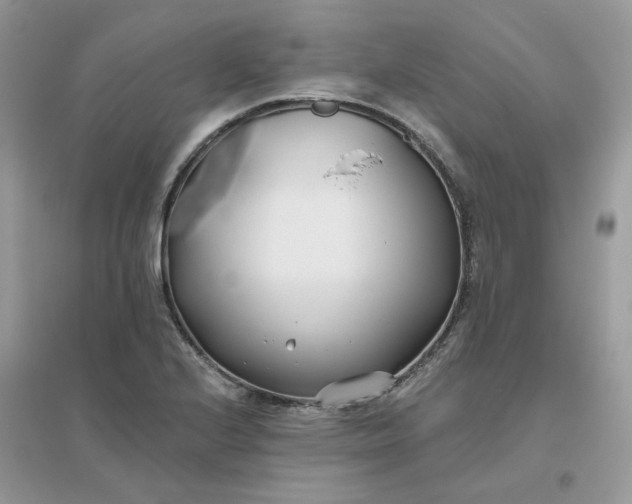 X0000096151224200802011225