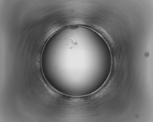 X0000096151225200802011225