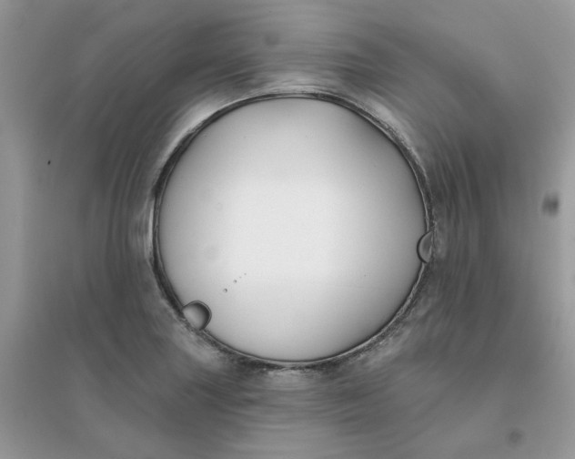 X0000096151227200802011225