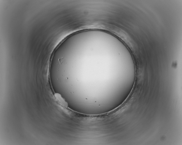 X0000096151228200802011225
