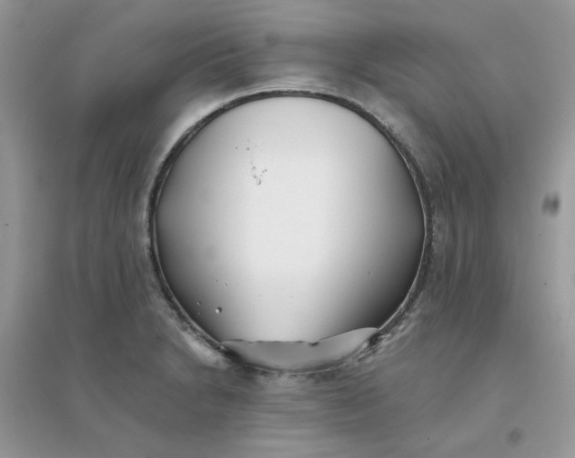 X0000096151230200802011225