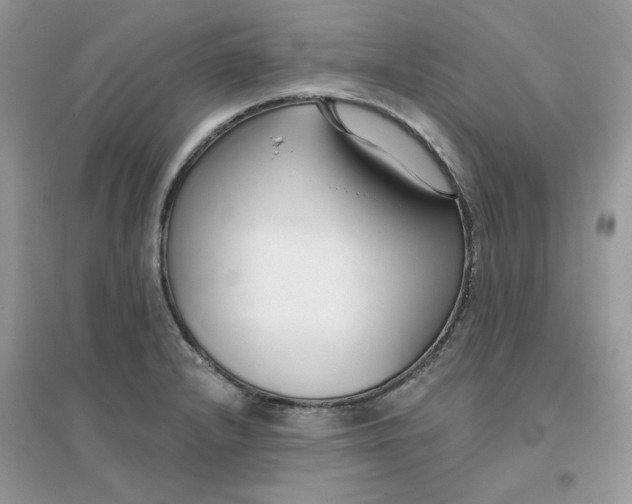 X0000096151232200802011225