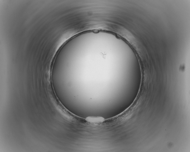 X0000096151234200802011225