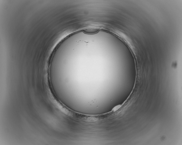 X0000096151235200802011225