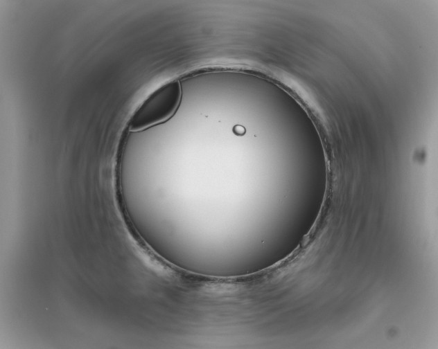 X0000096151237200802011226