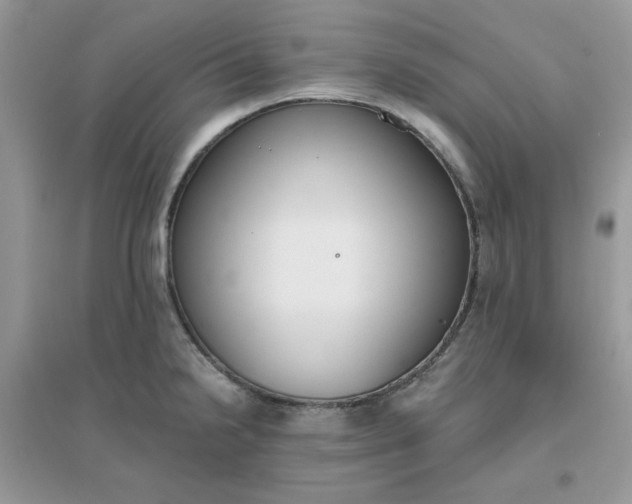 X0000096151238200802011226