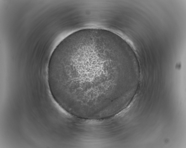 X0000096151239200802011226