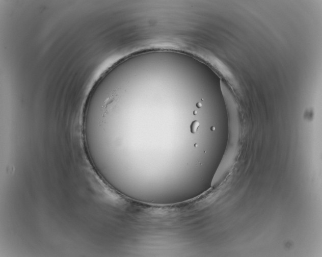 X0000096151240200802011226