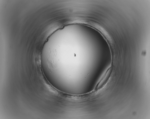 X0000096151241200802011226