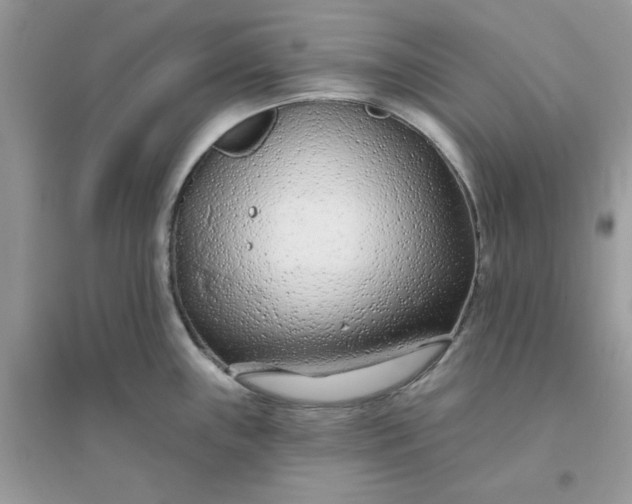 X0000096151243200802011226