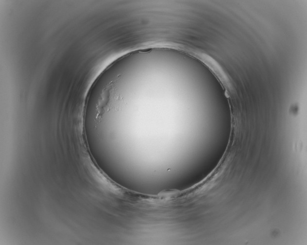X0000096151244200802011226