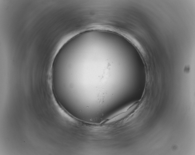 X0000096151247200802011226