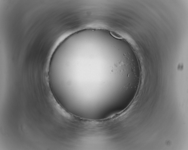 X0000096151248200802011226