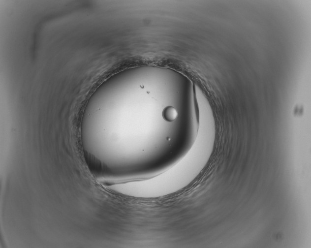 X0000096151249200802011225